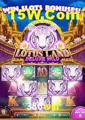 Experiência VIP 386win